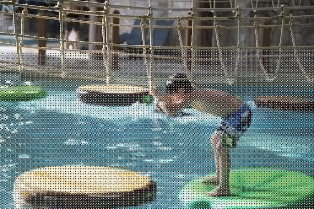 Фото Great Wolf Lodge Sandusky Oh