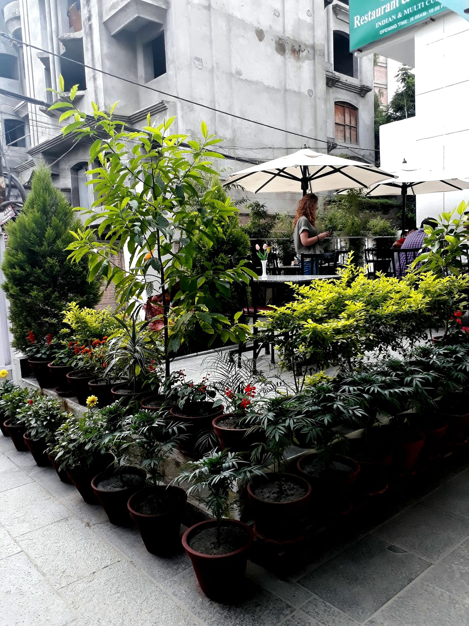 Фото Oasis Kathmandu Hotel