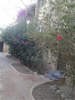 Фото Zad Elmosafer Guest House