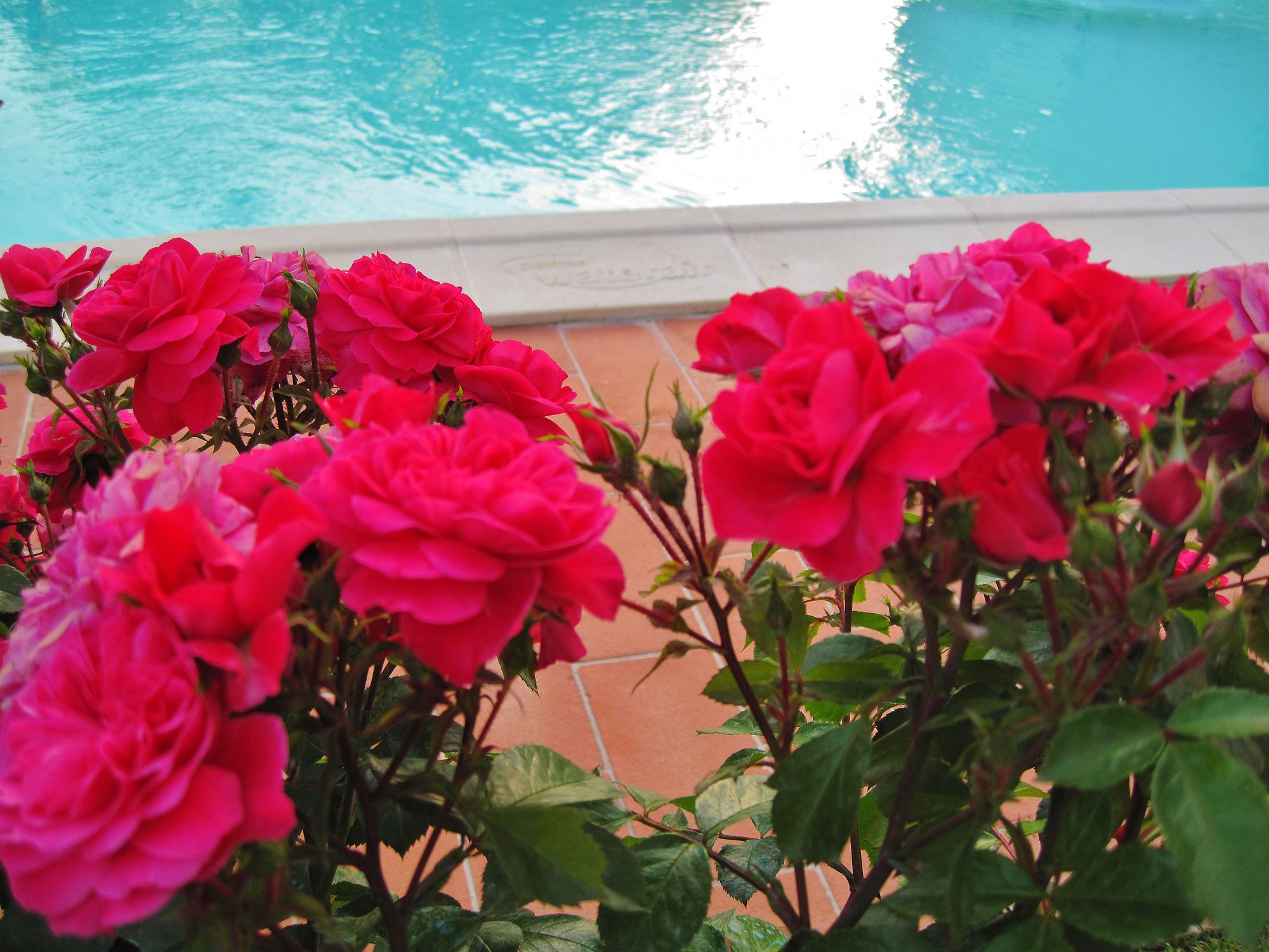 Фото Hotel Certaldo