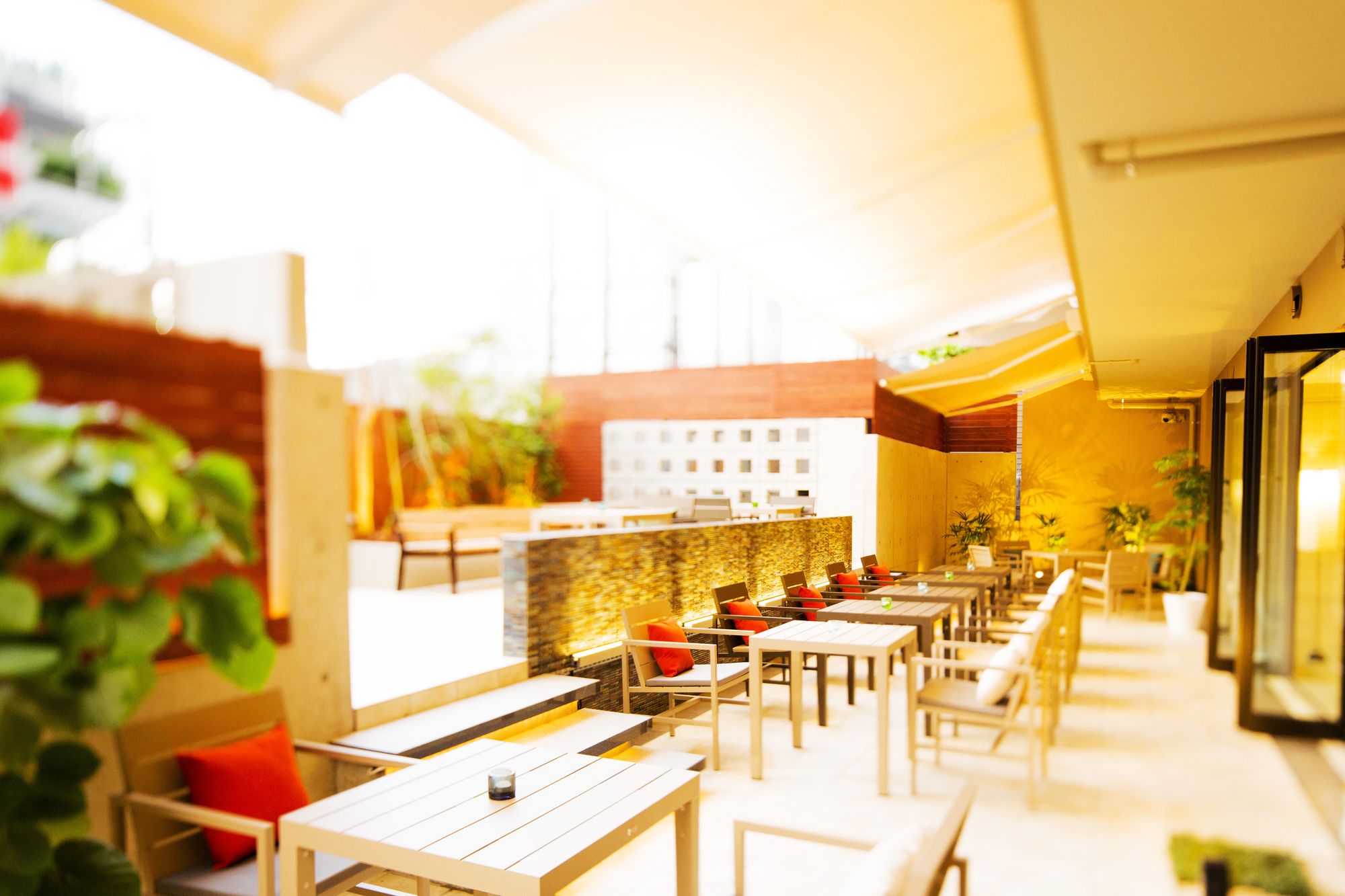 Фото Sakura Terrace