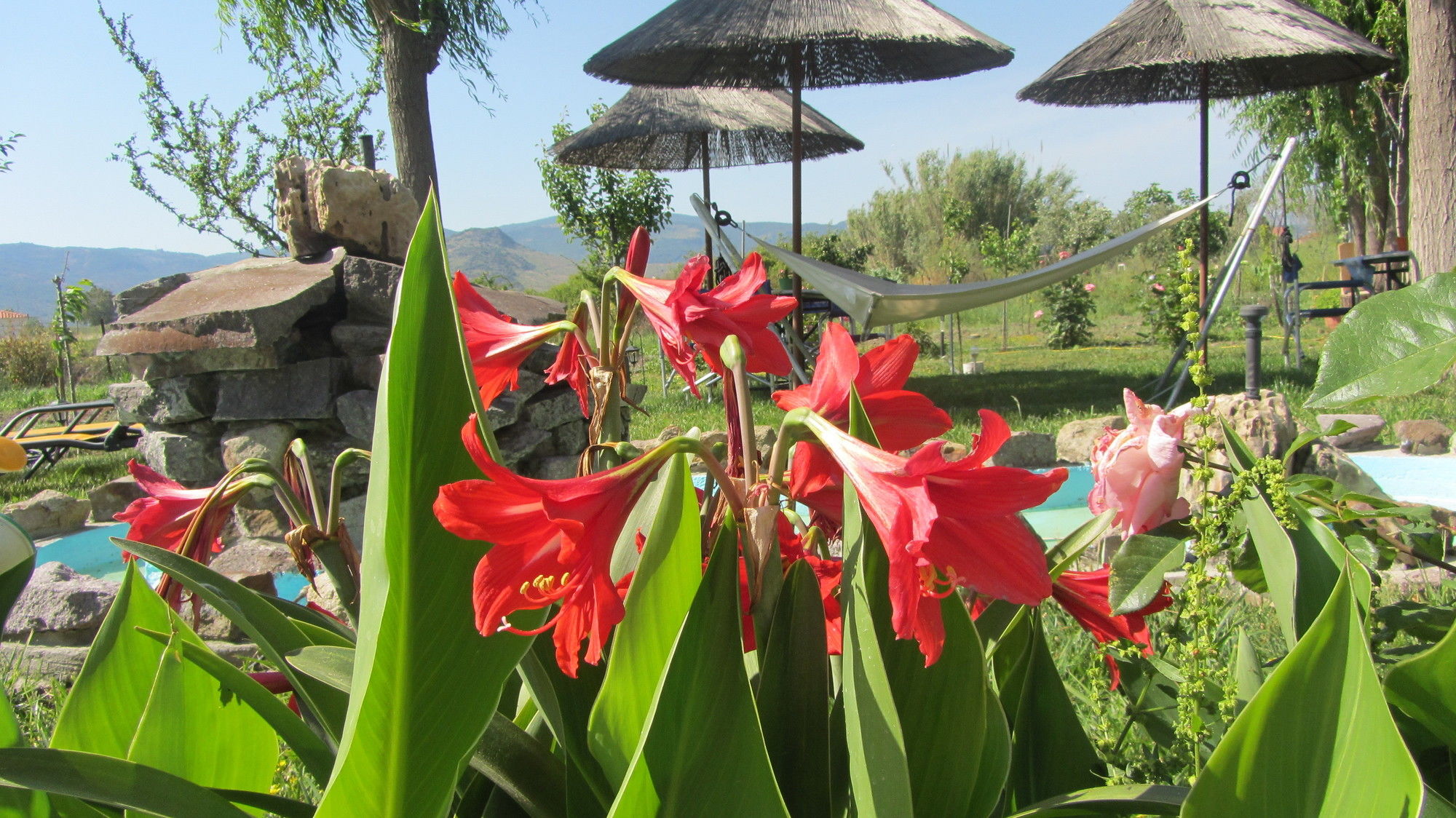 Фото Shine Studios