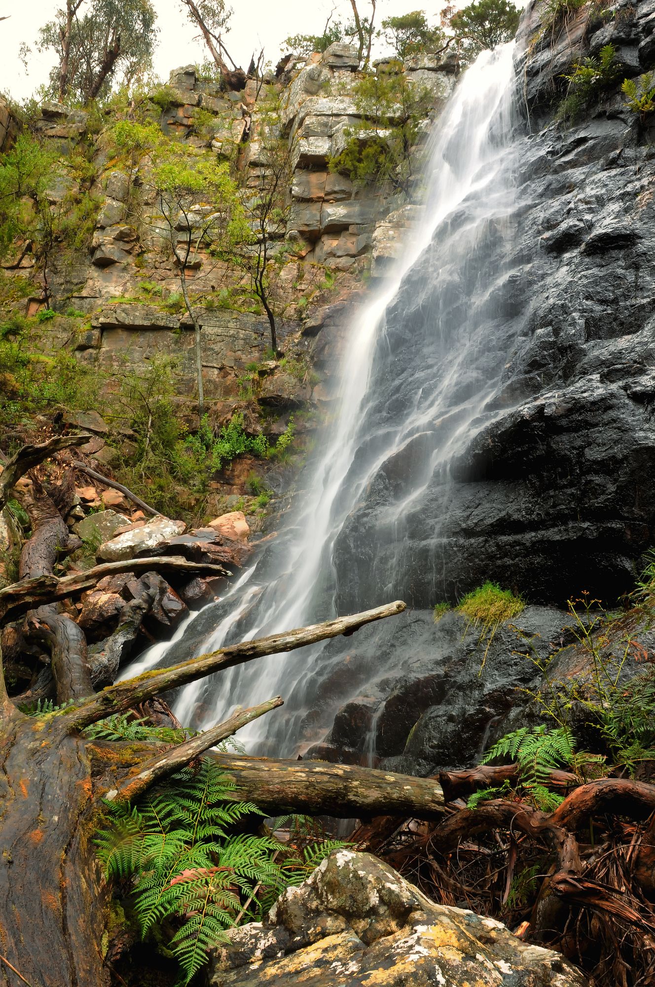 Фото The Grampians Motel & The Views Restaurant