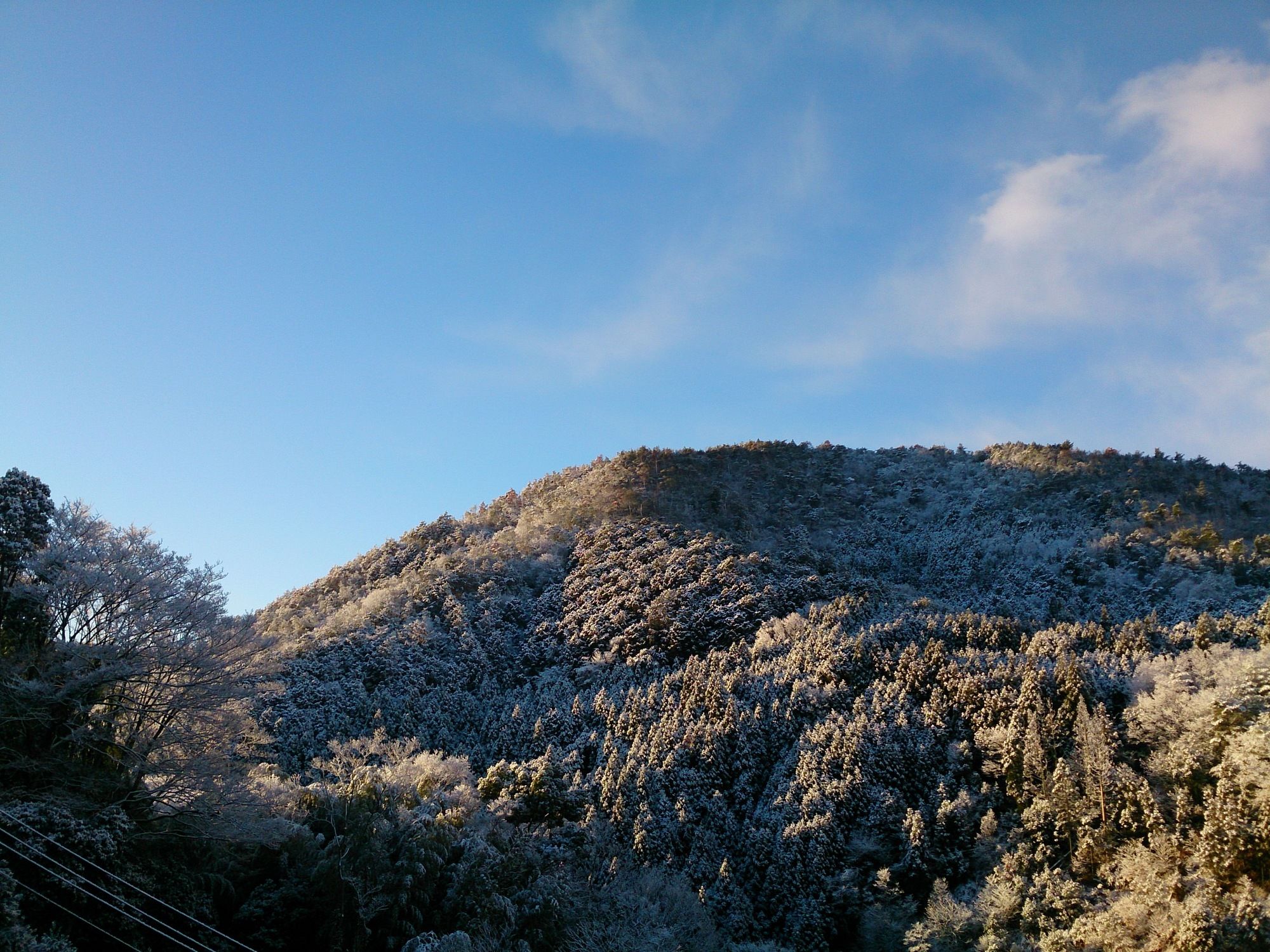 Фото Ryokan Nenrinbo