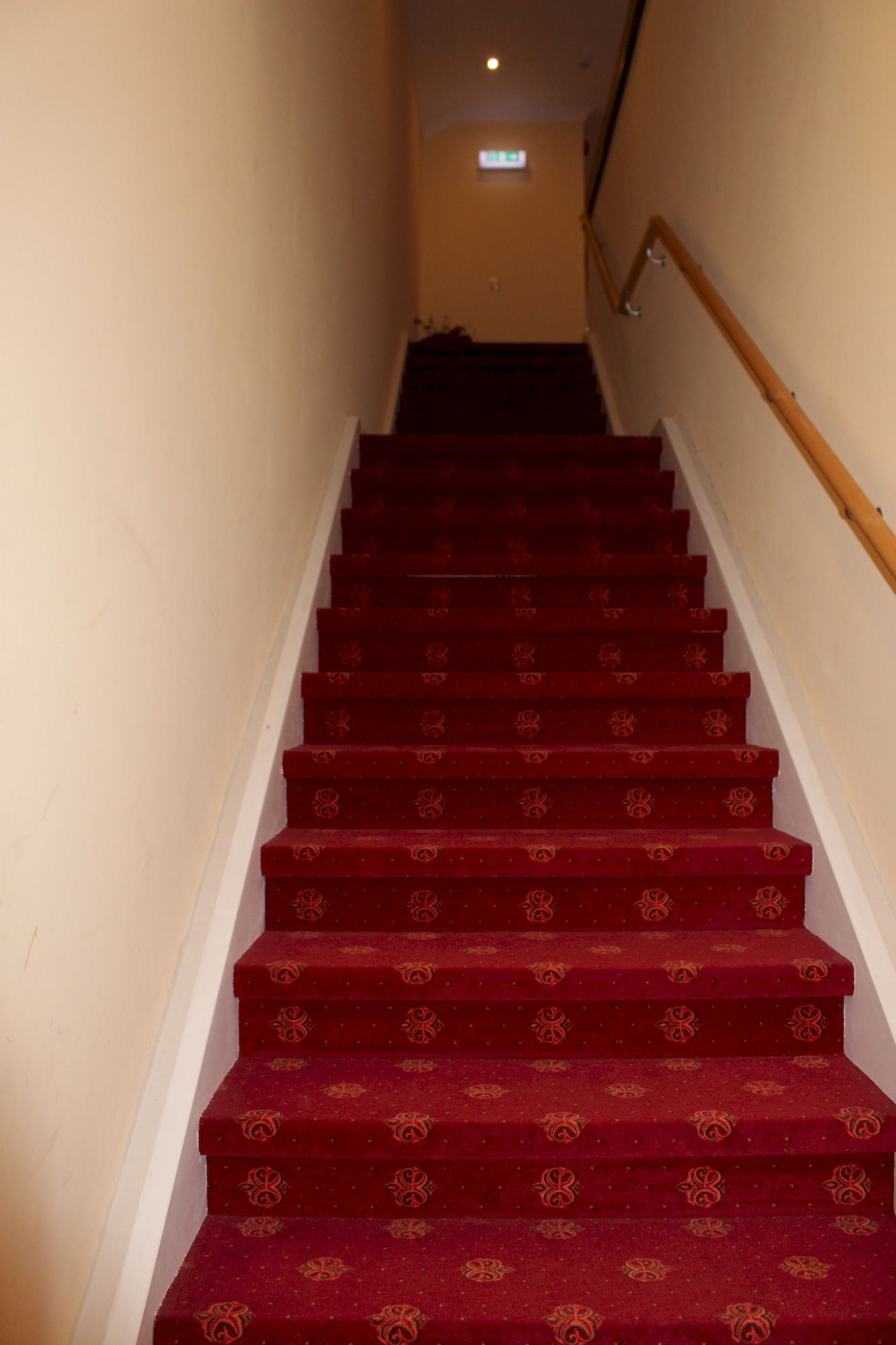 Фото Hotel Grüne Tanne