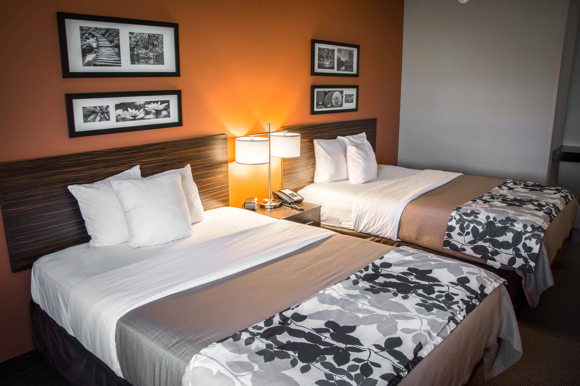 Фото Sleep Inn & Suites Medical Center