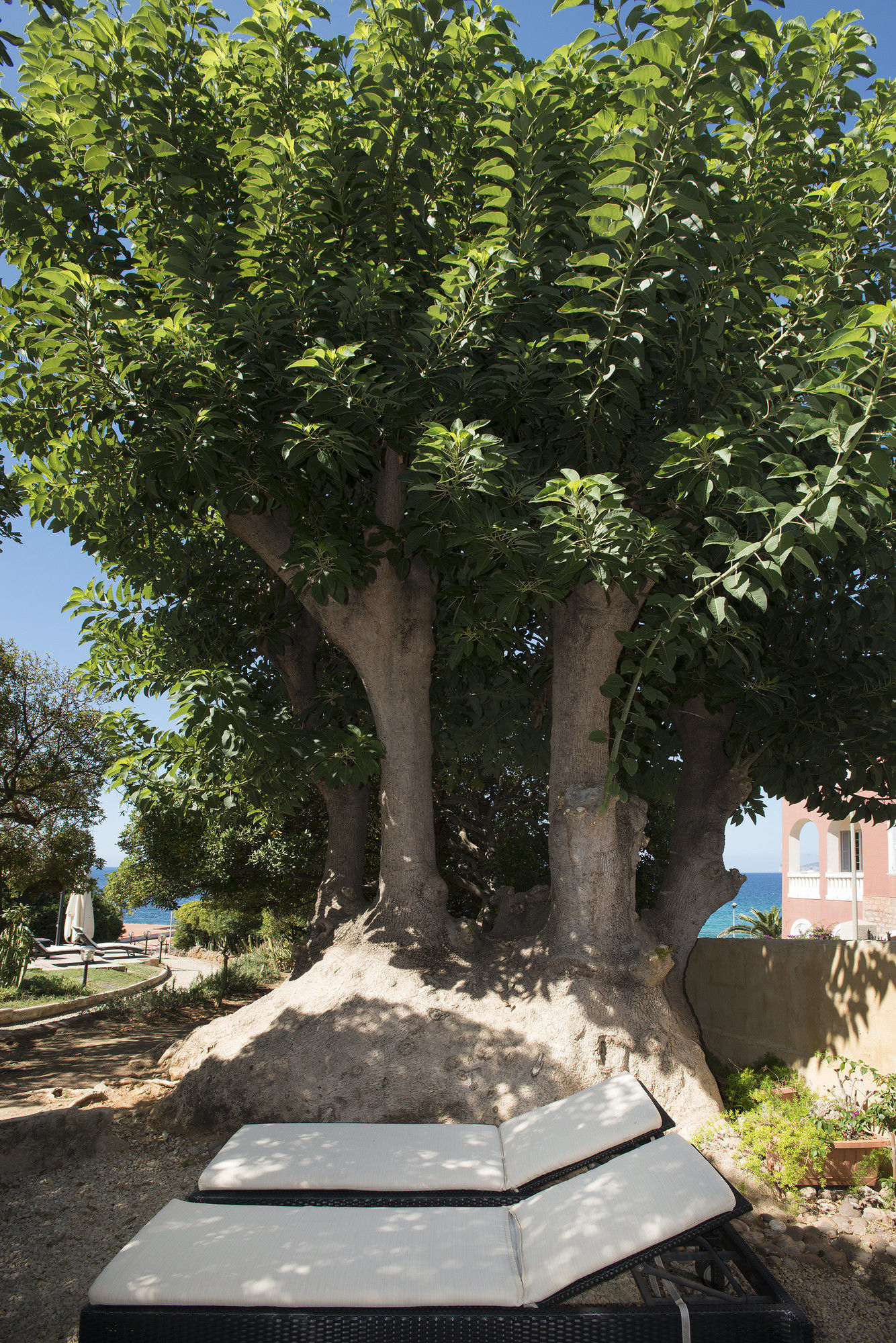 Фото Villa Mosca