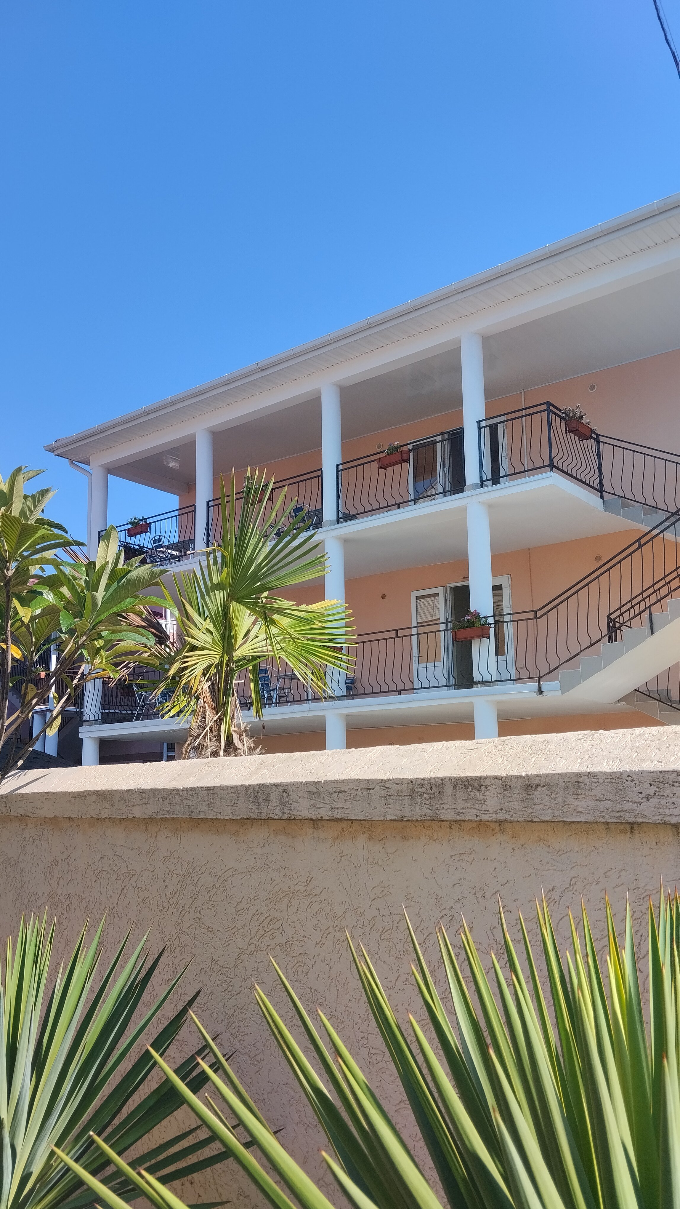 Фото Эмилия