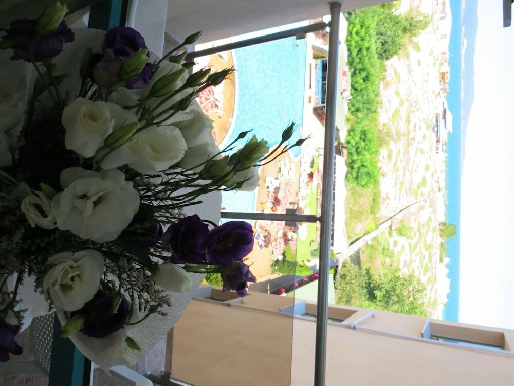 Фото Hotel Sirena