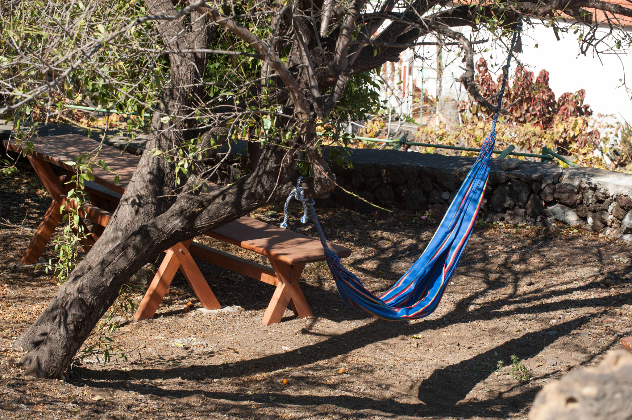 Фото Complejo Rural la Brujita