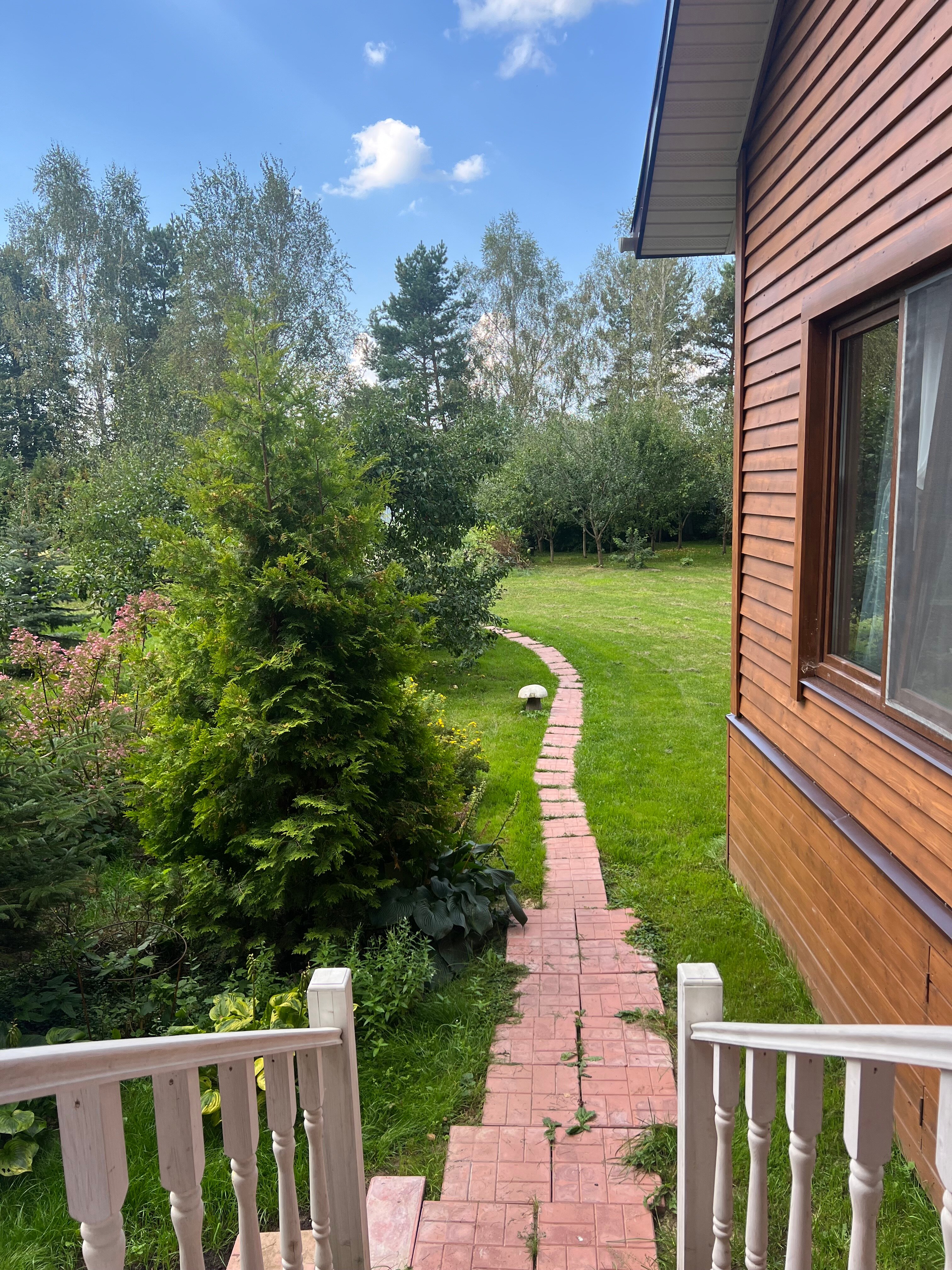 Фото Оптинадом