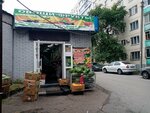 Овощи и фрукты (50 Let SSSR Street, 42/1), frutería