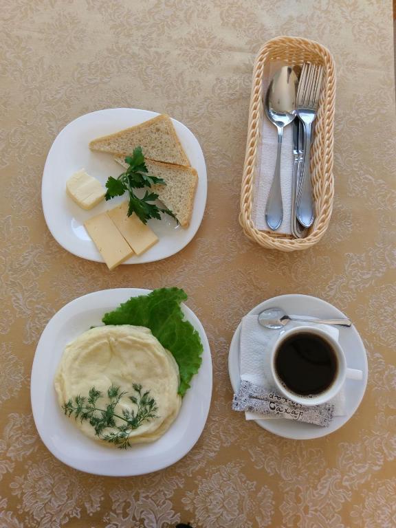 Фото Пальма