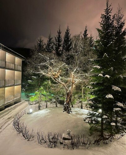Гостиница Santa Resort Hotel в Южно-Сахалинске