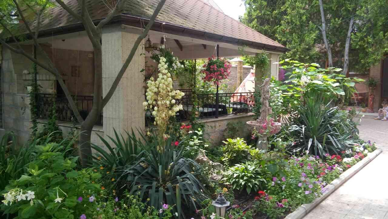 Фото Орхидея