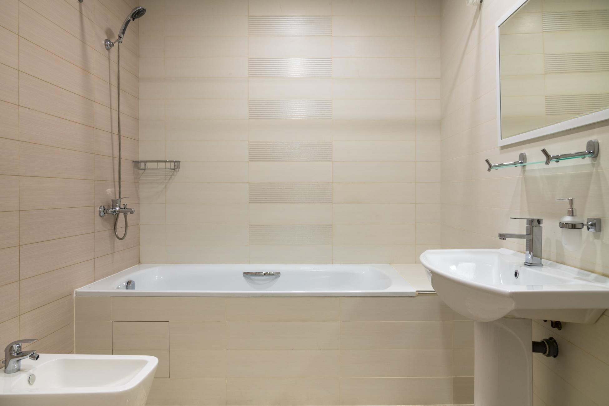 Фото Сова Беседы