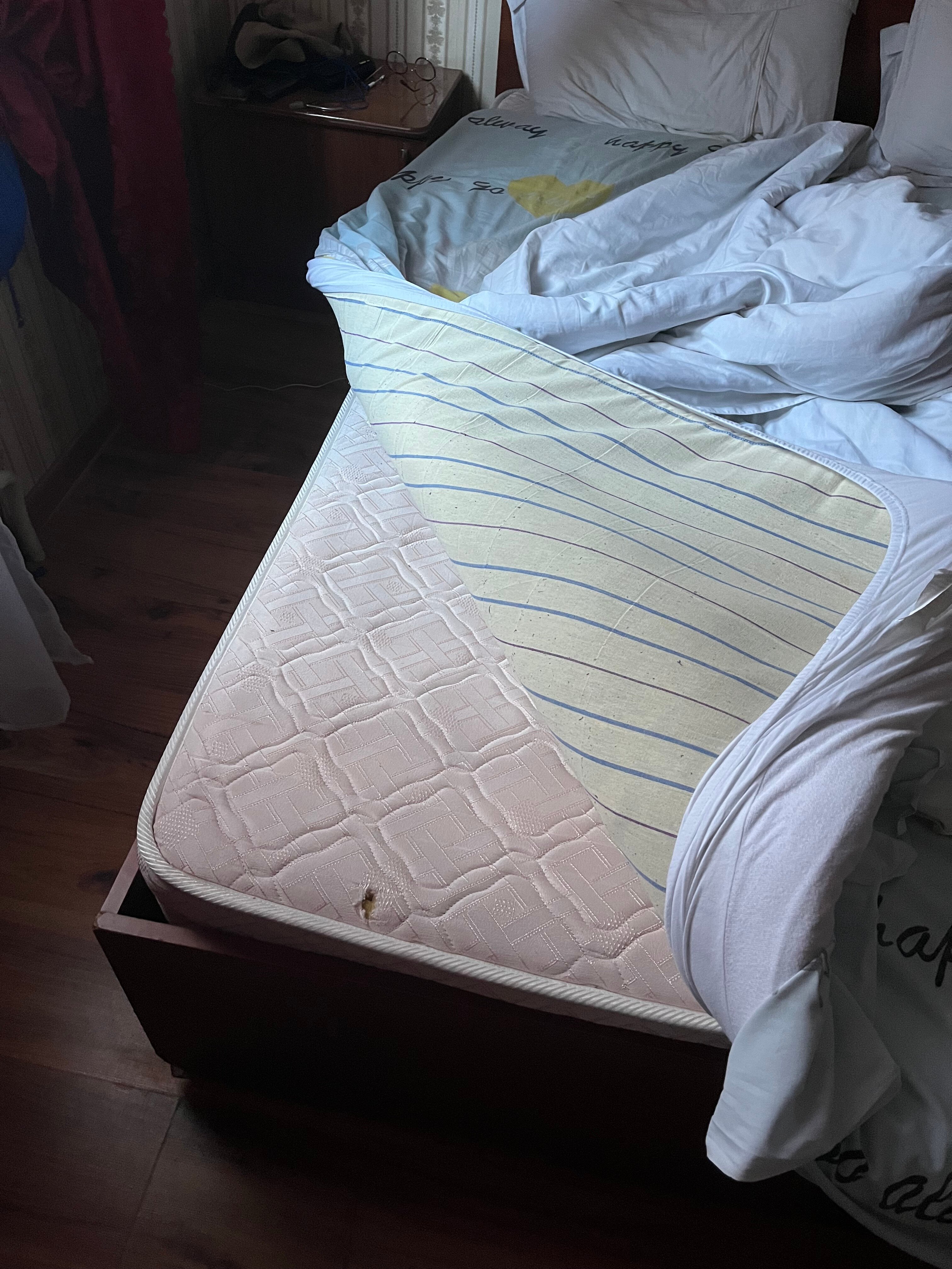 Фото Магнолия