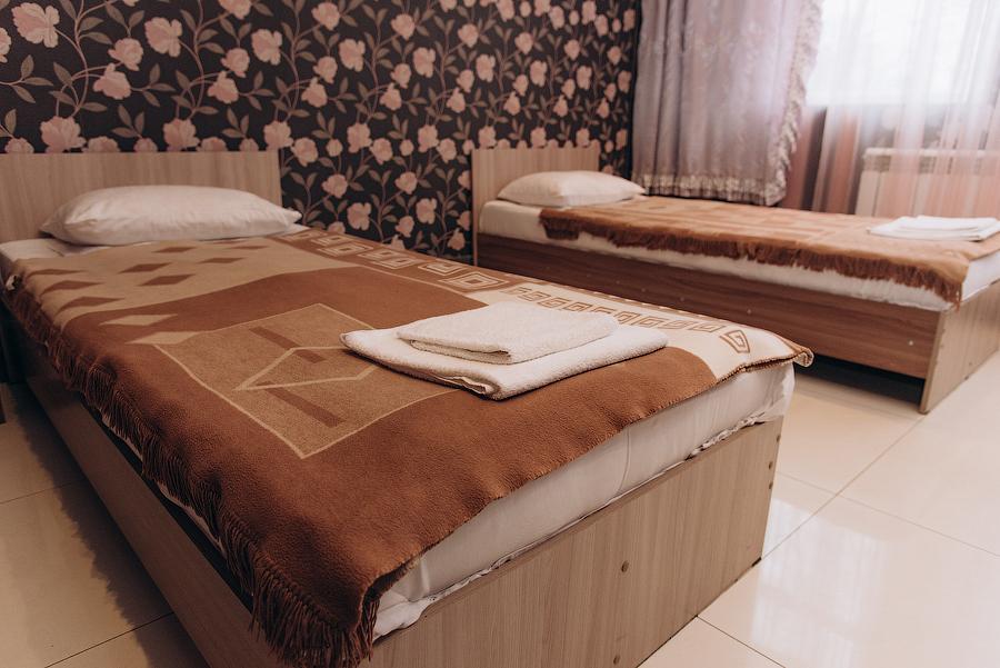 Фото Фламинго