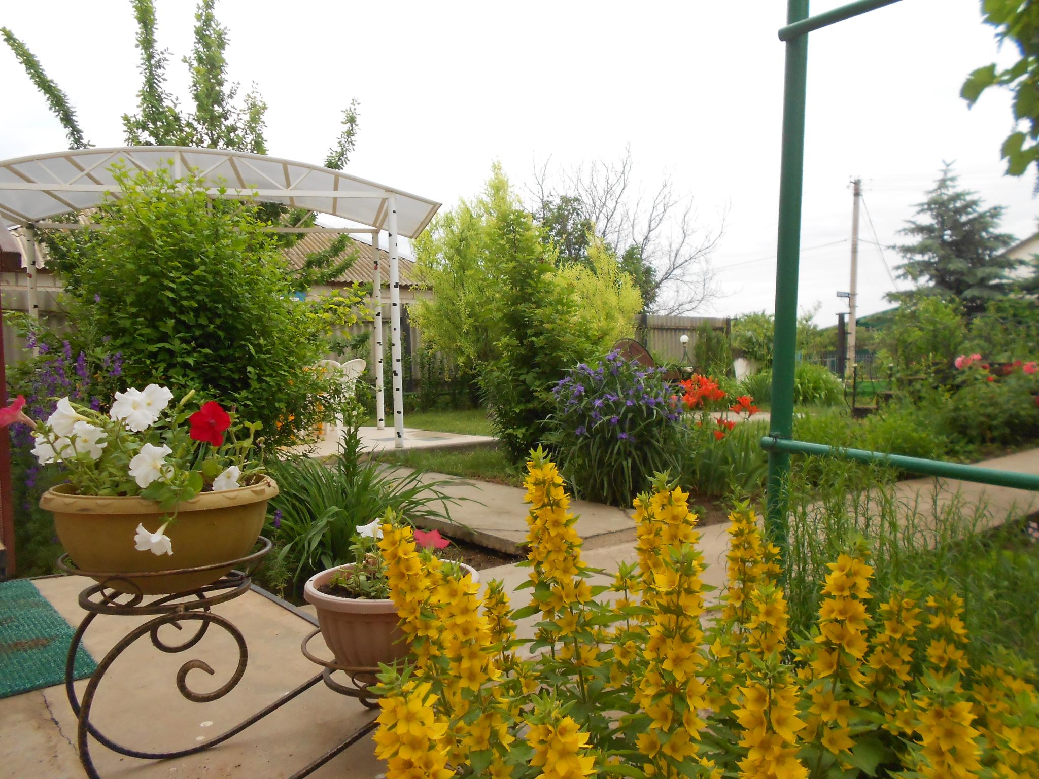 Фото Добриан