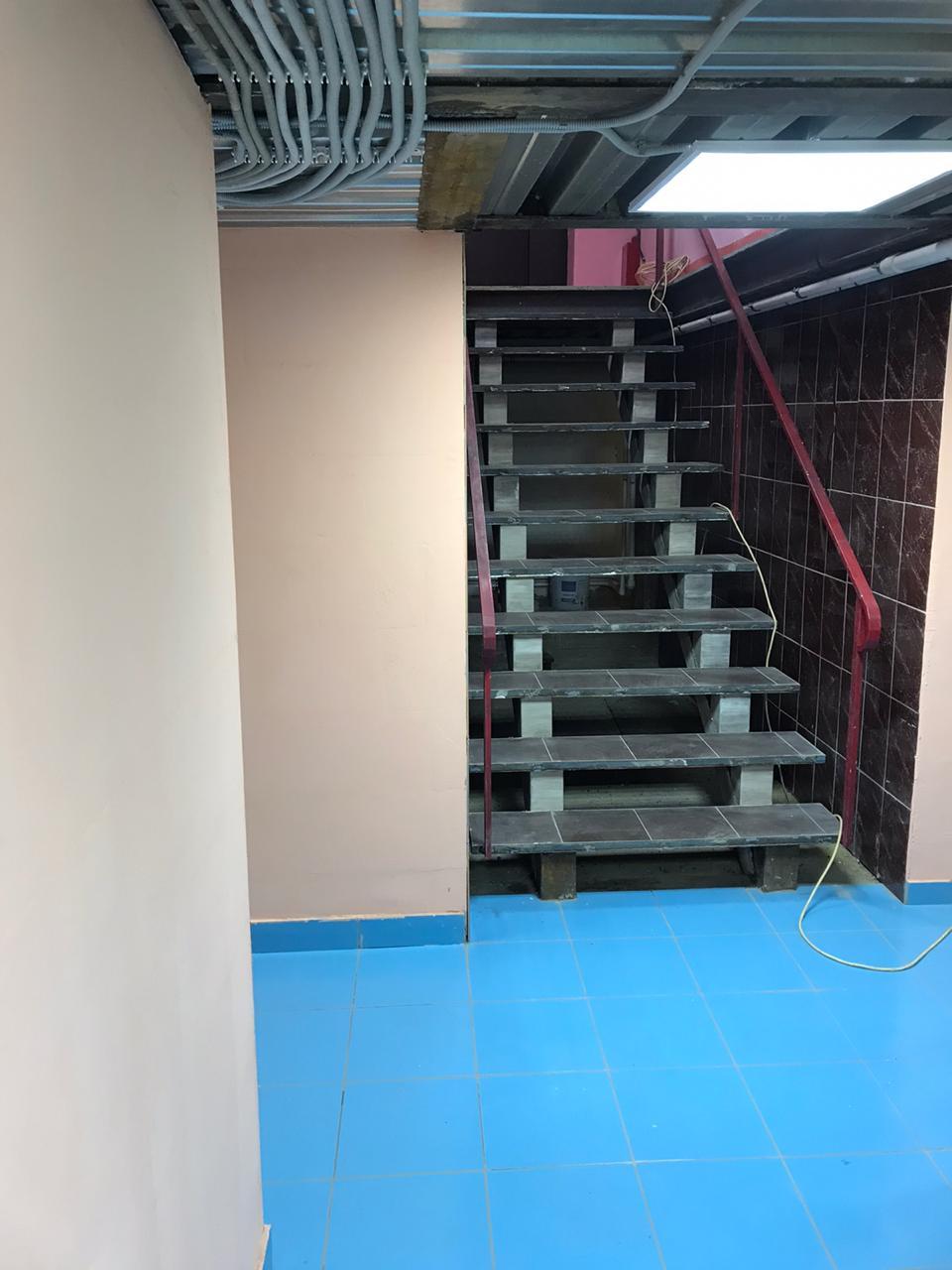 Фото Вежливый Лось