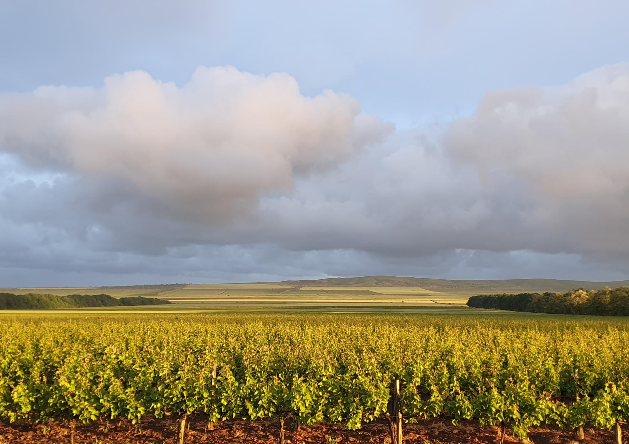 Фото Гостевой дом на Центральной 37