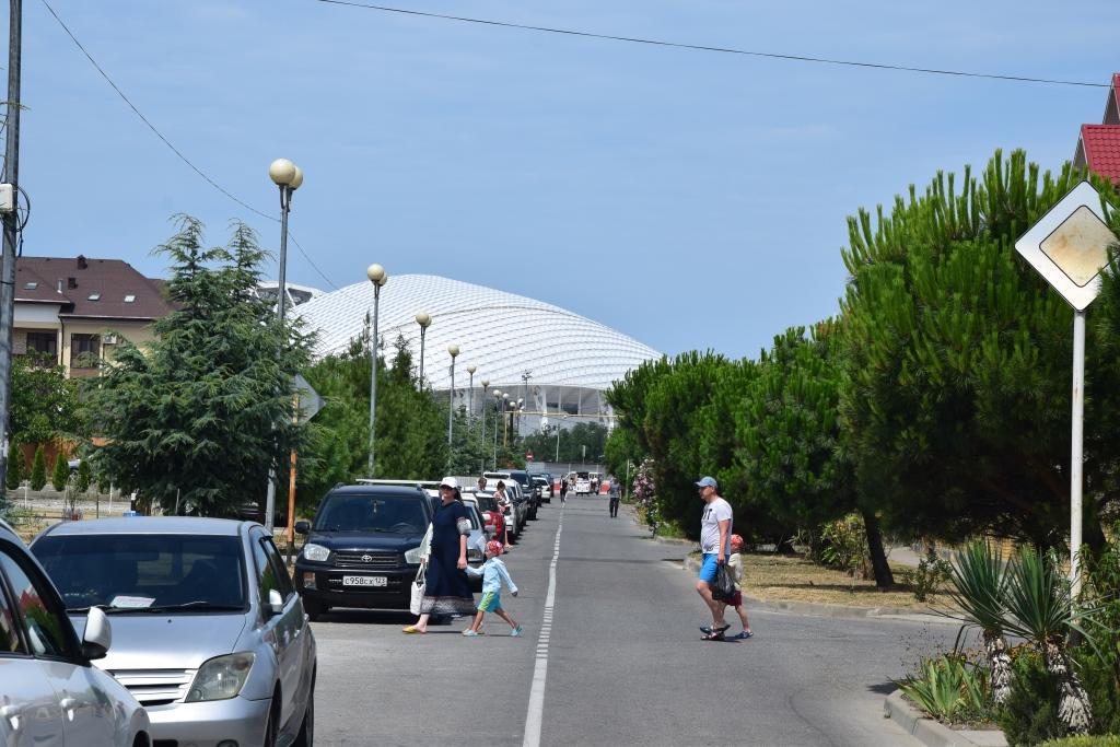 Фото Колибри