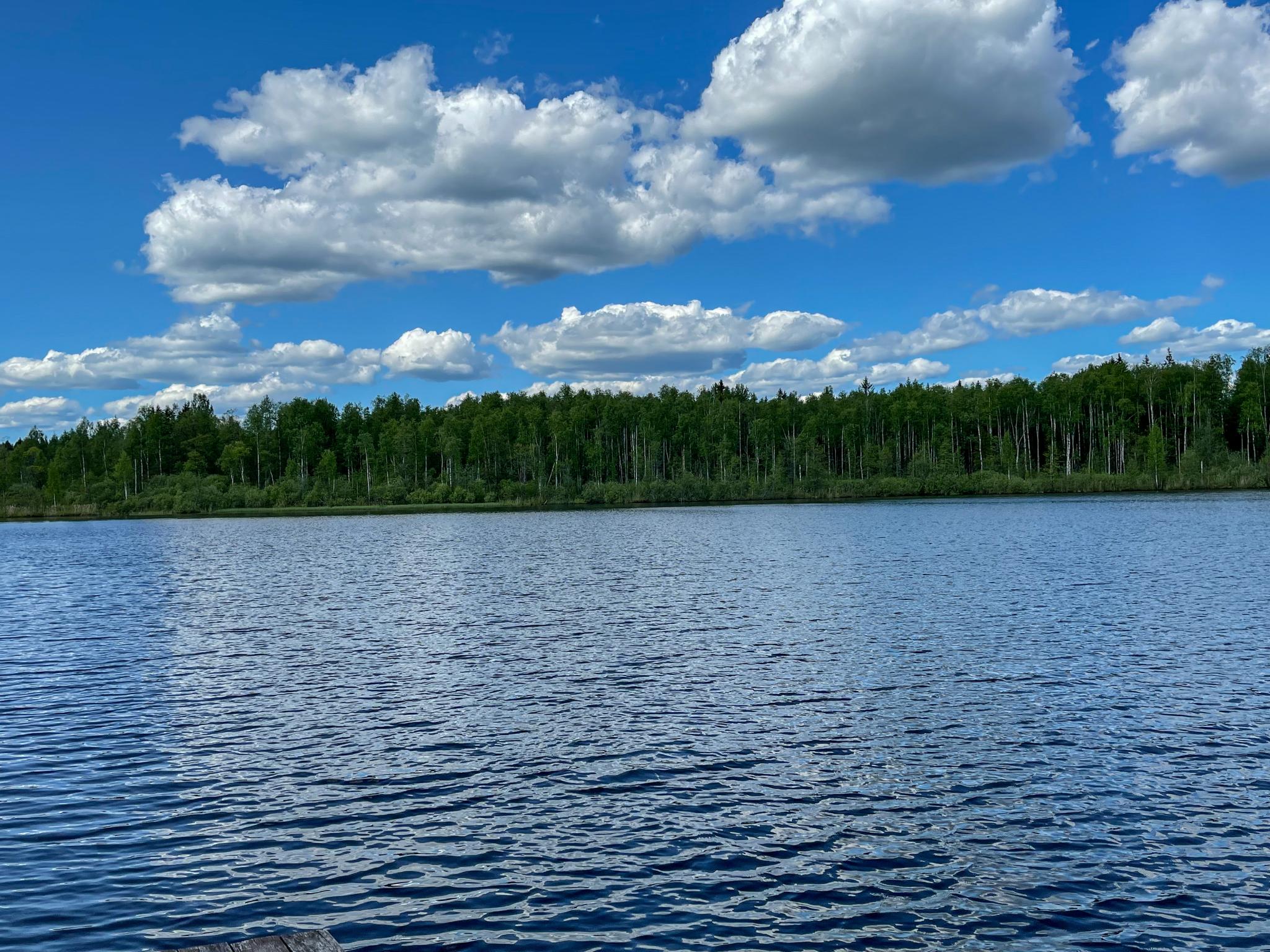 Фото Дом на Валдае