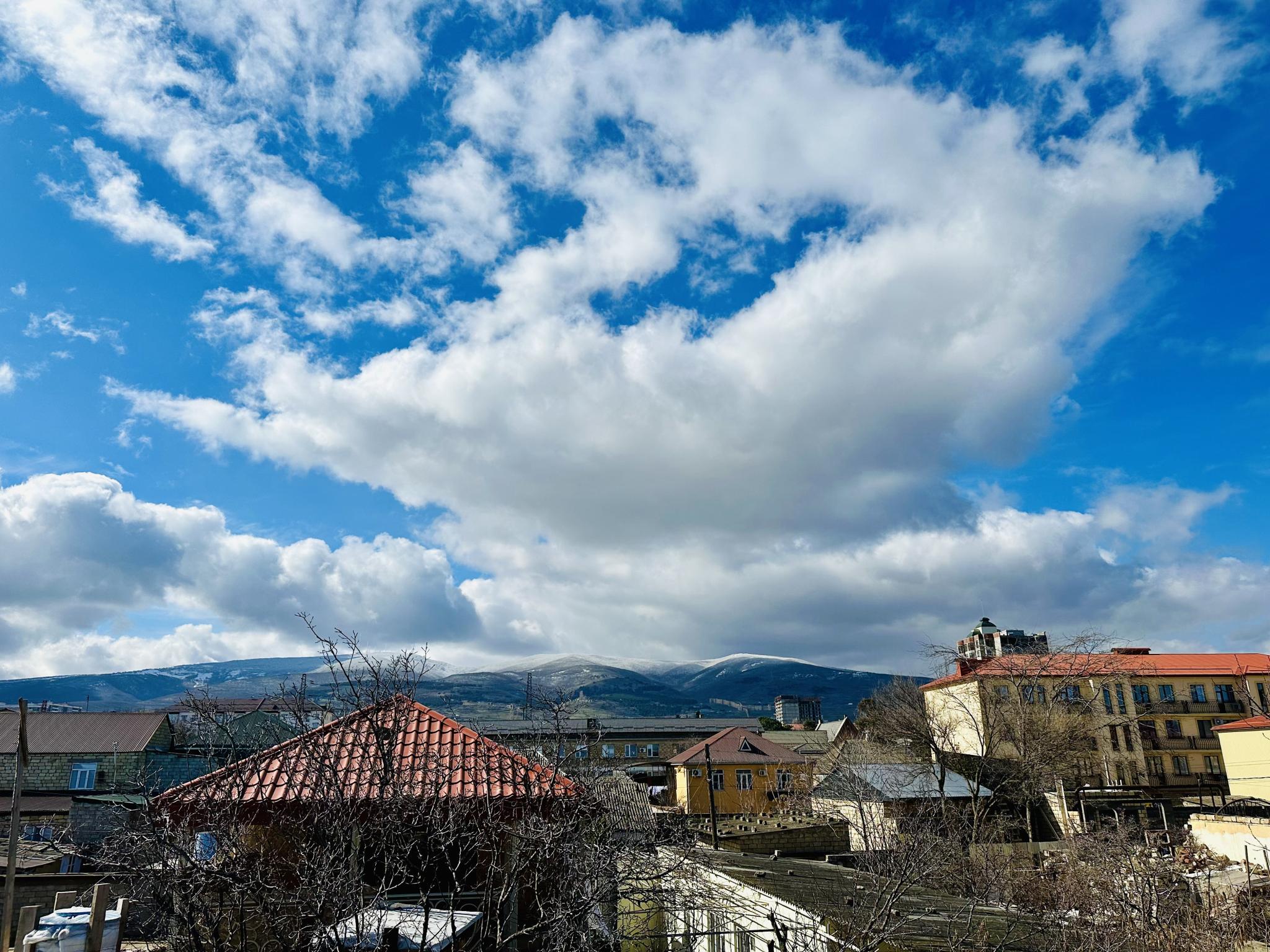 Фото Royal House