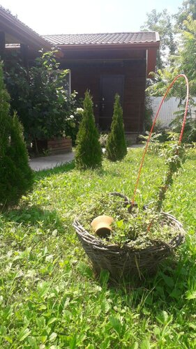 Внешний вид отеля ФилХаус в Каменномостском, фото 3