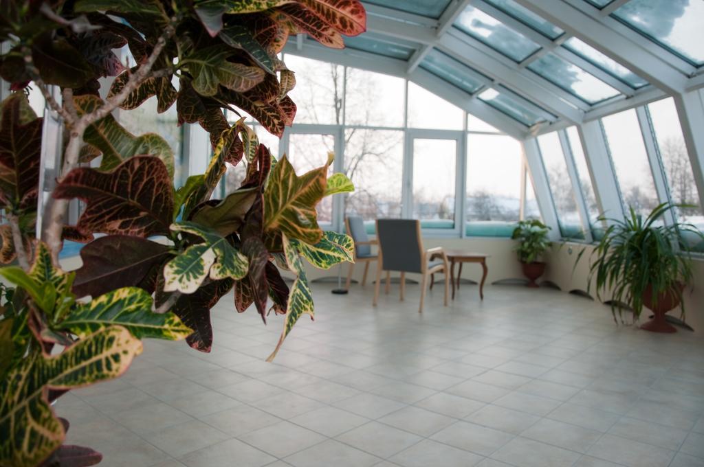 Фото Фортуна