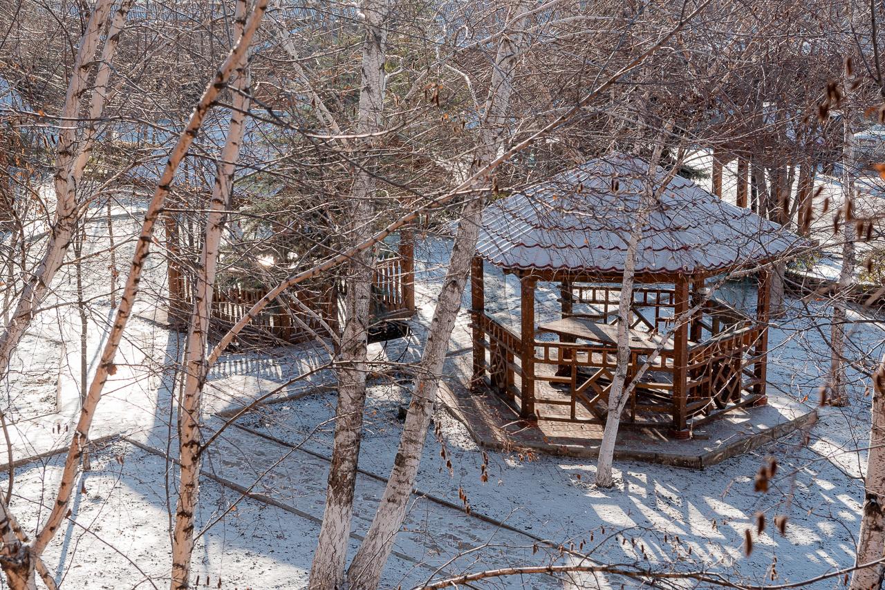 Фото Надежда