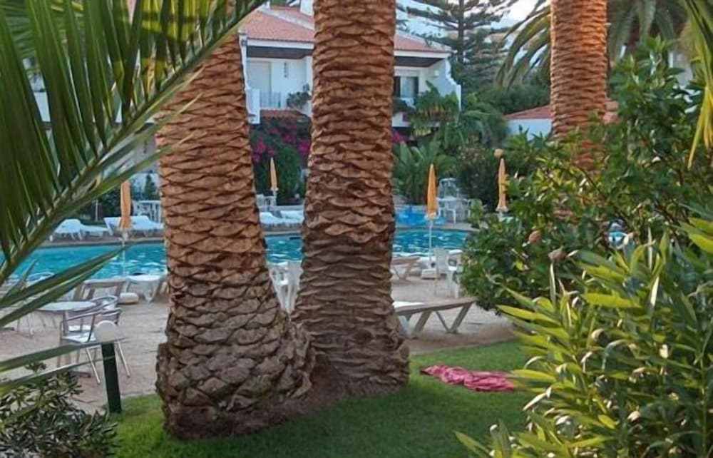 Фото Solar de São João - Apartamentos Turísticos