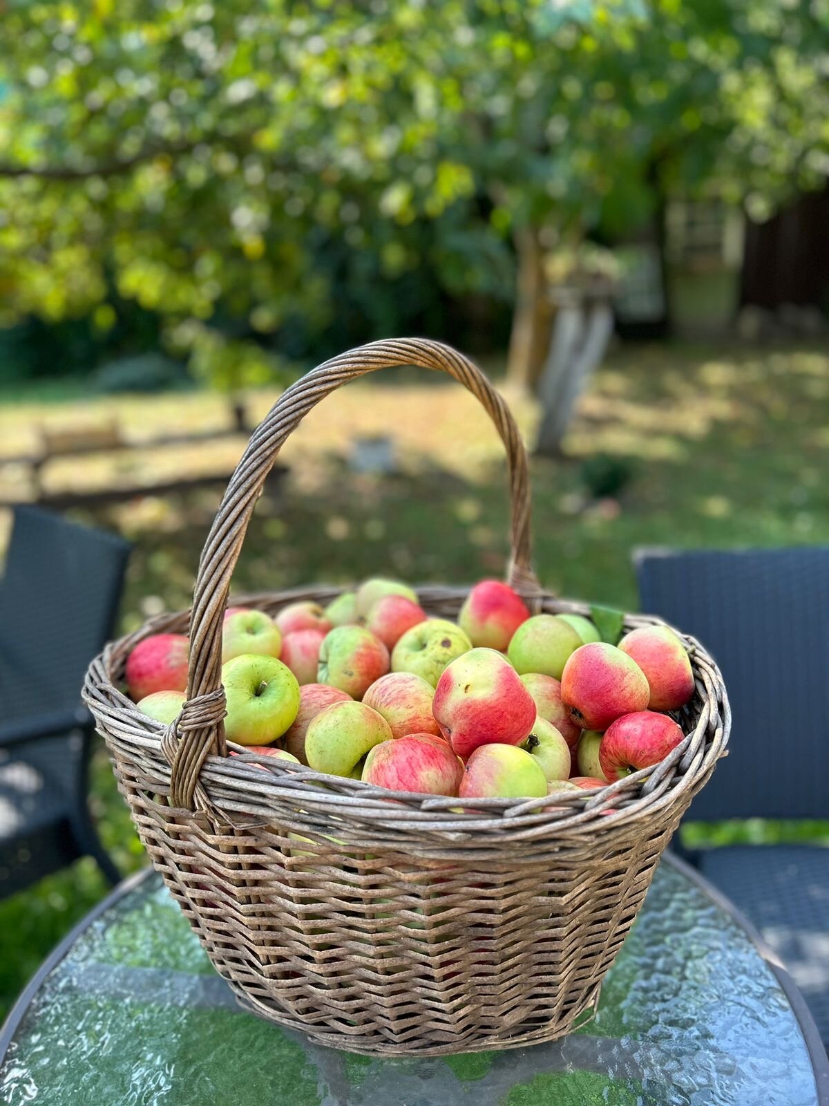 Фото ДомСорок