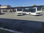 Спартак (Altai Territory, Barnaul, Bolshaya Olonskaya Street), public transport stop
