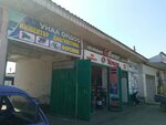 Автосервис (Mamyrov Street, 93), car service, auto repair