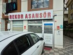 Rekor Elevator (İstanbul, Çekmeköy, Mehmet Akif Mah., Ezgi Sok., 6A) ، بيع وصيانة المصاعد