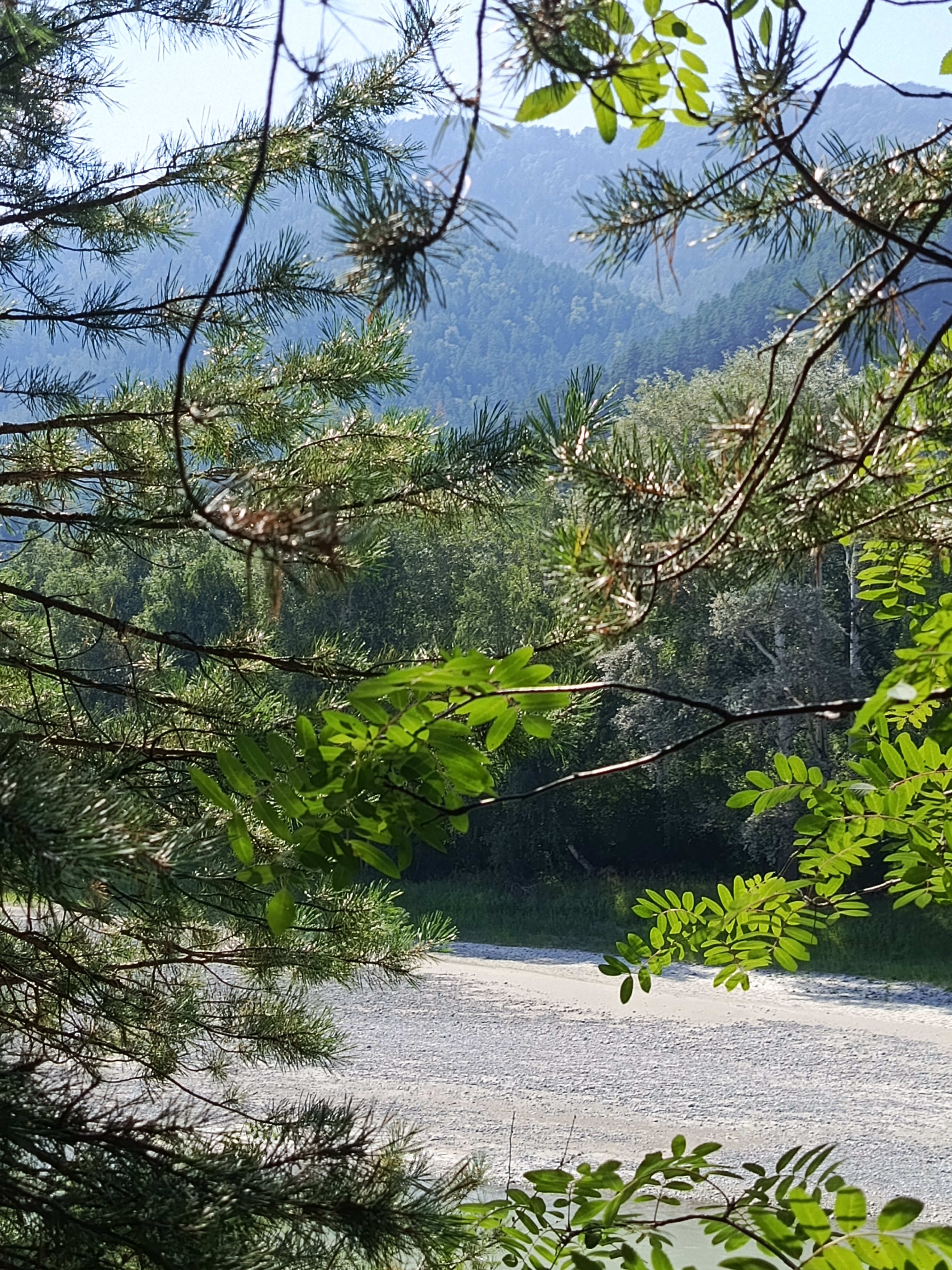 Фото Катунский утёс