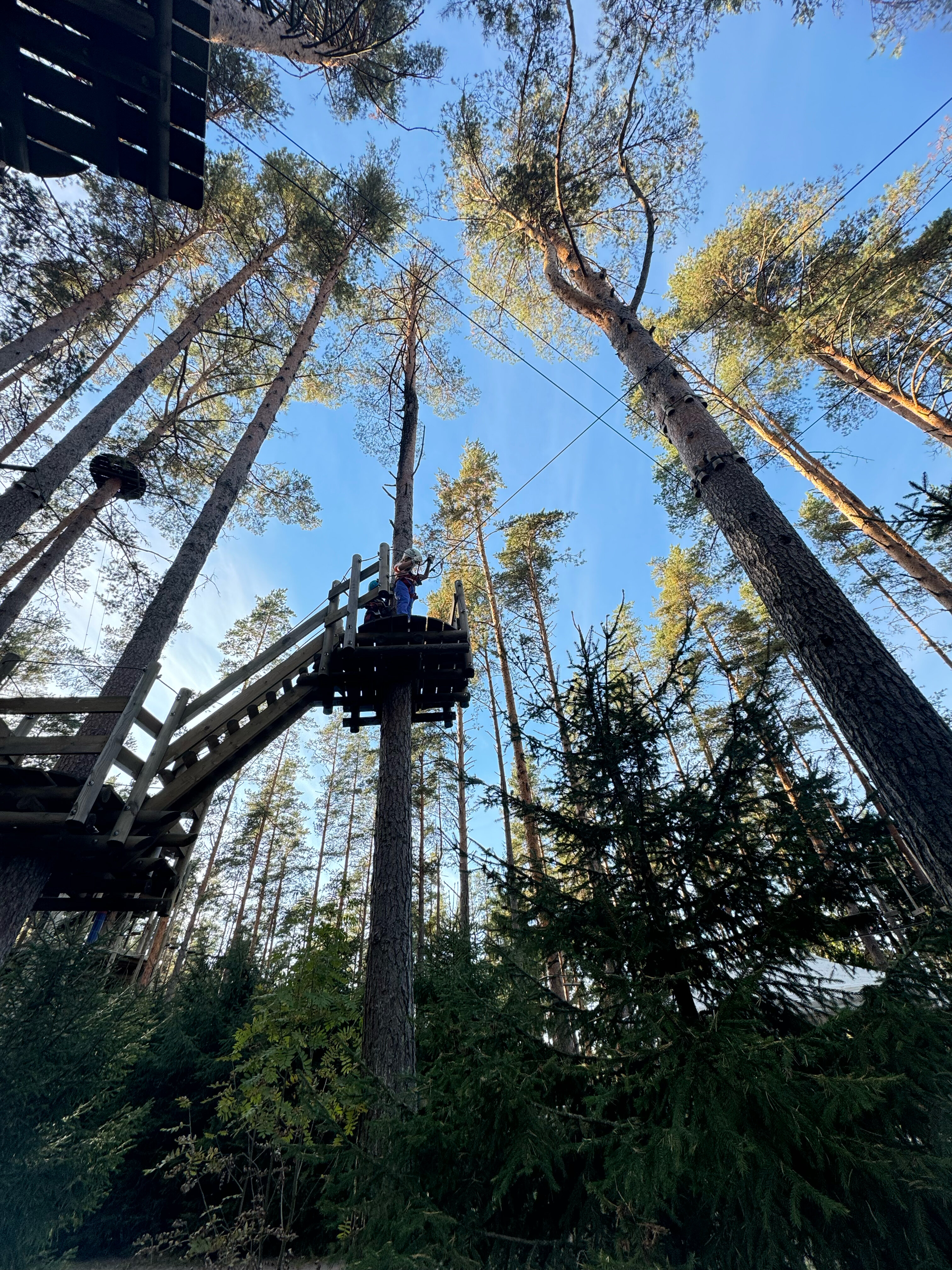 Фото Давинчи Парк