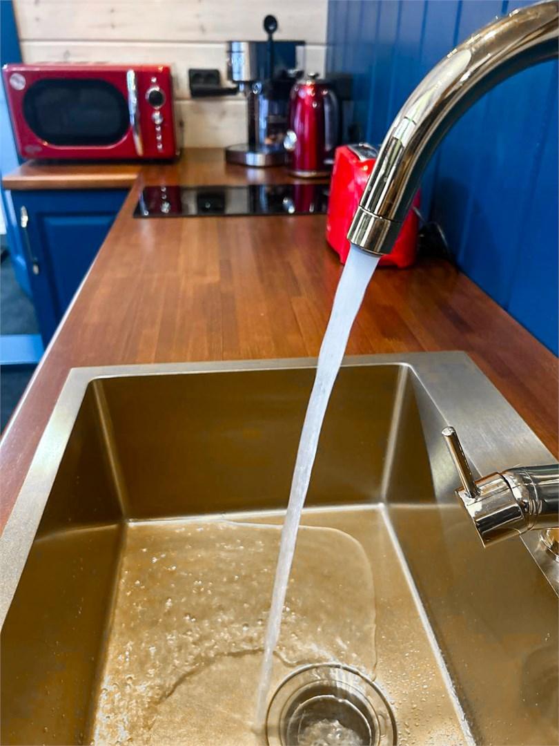 Фото Брусника № 1