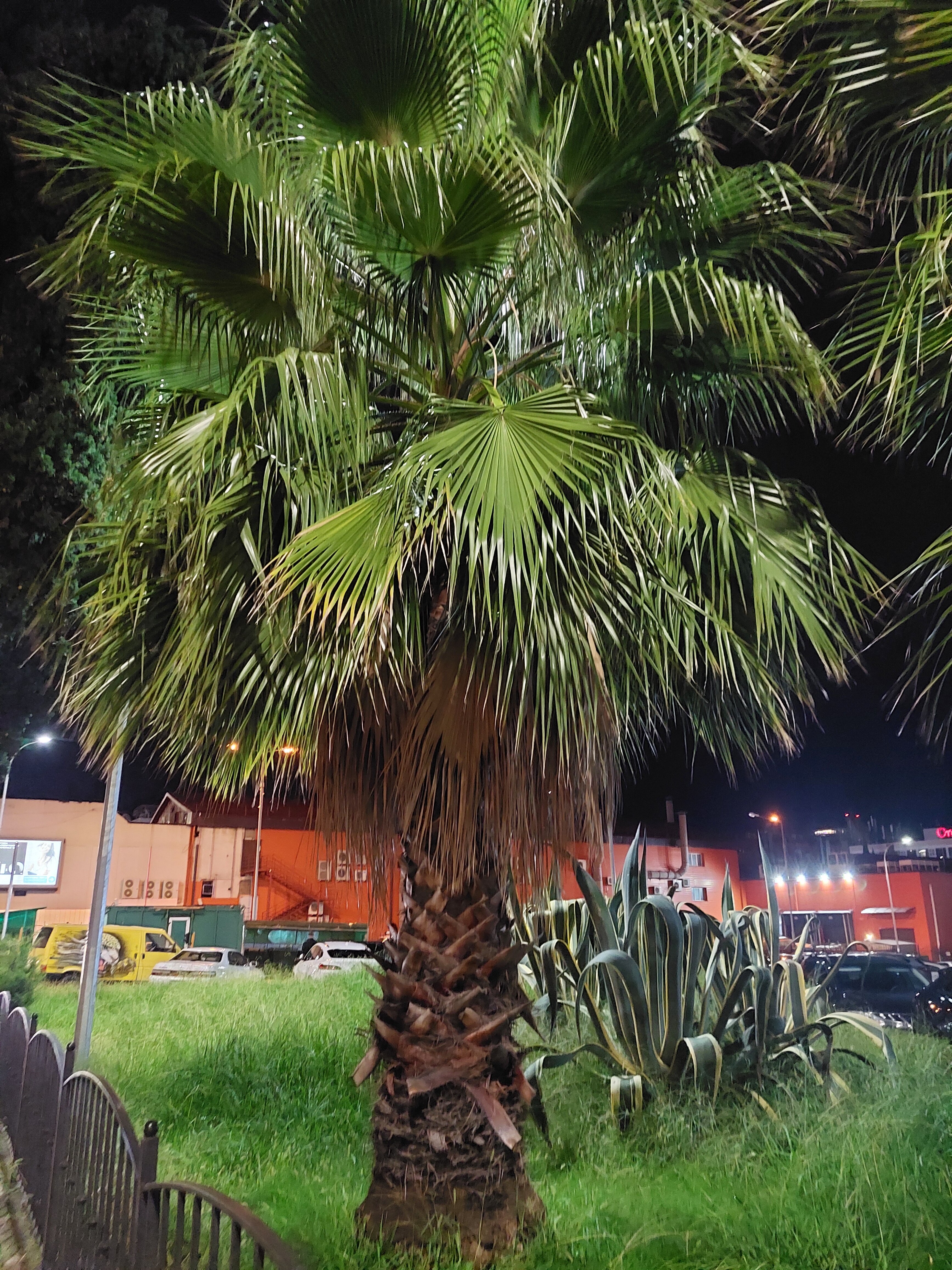 Фото Неолит Парк Горького