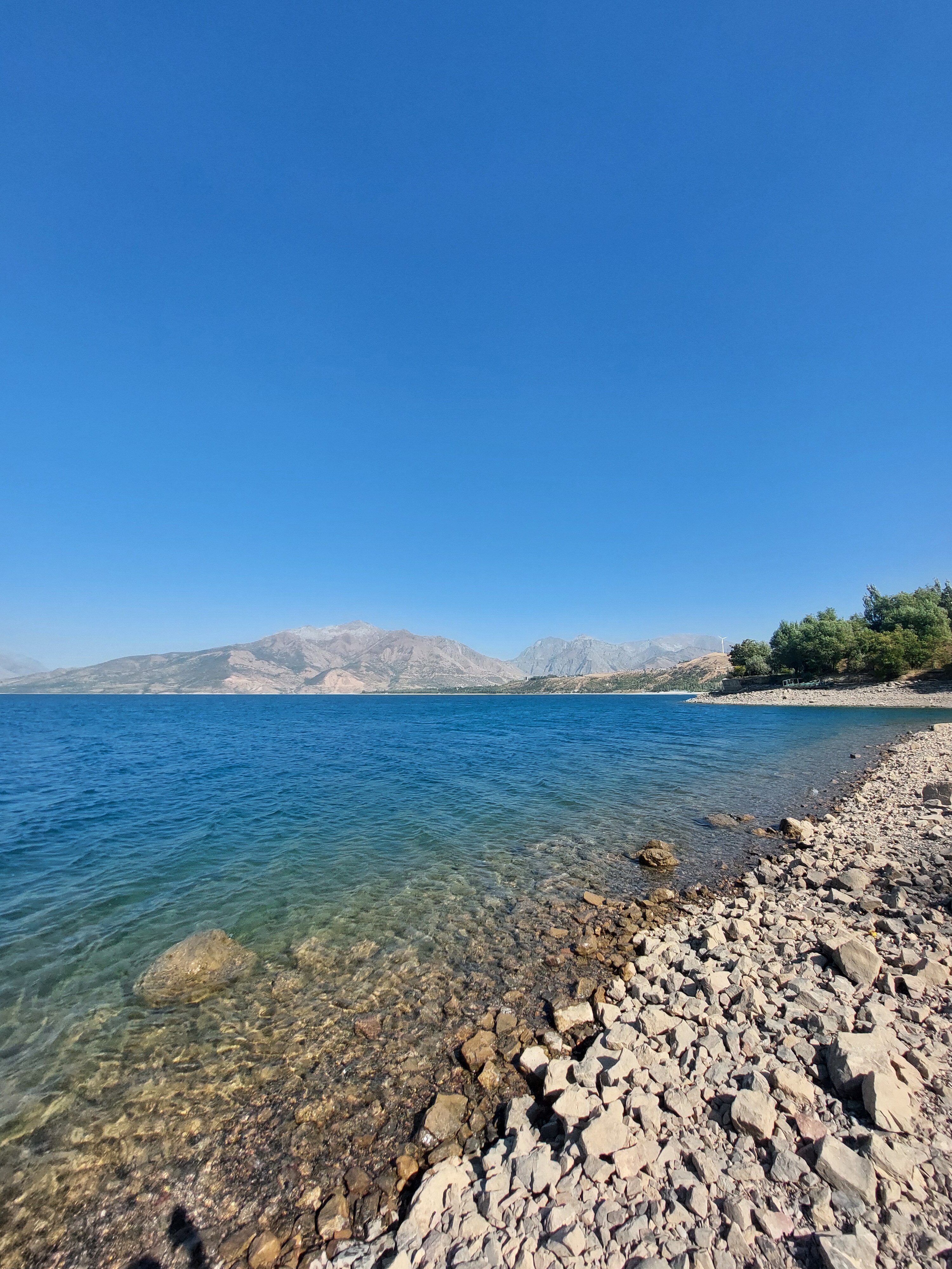 Ayol oqimga tushdi (video)