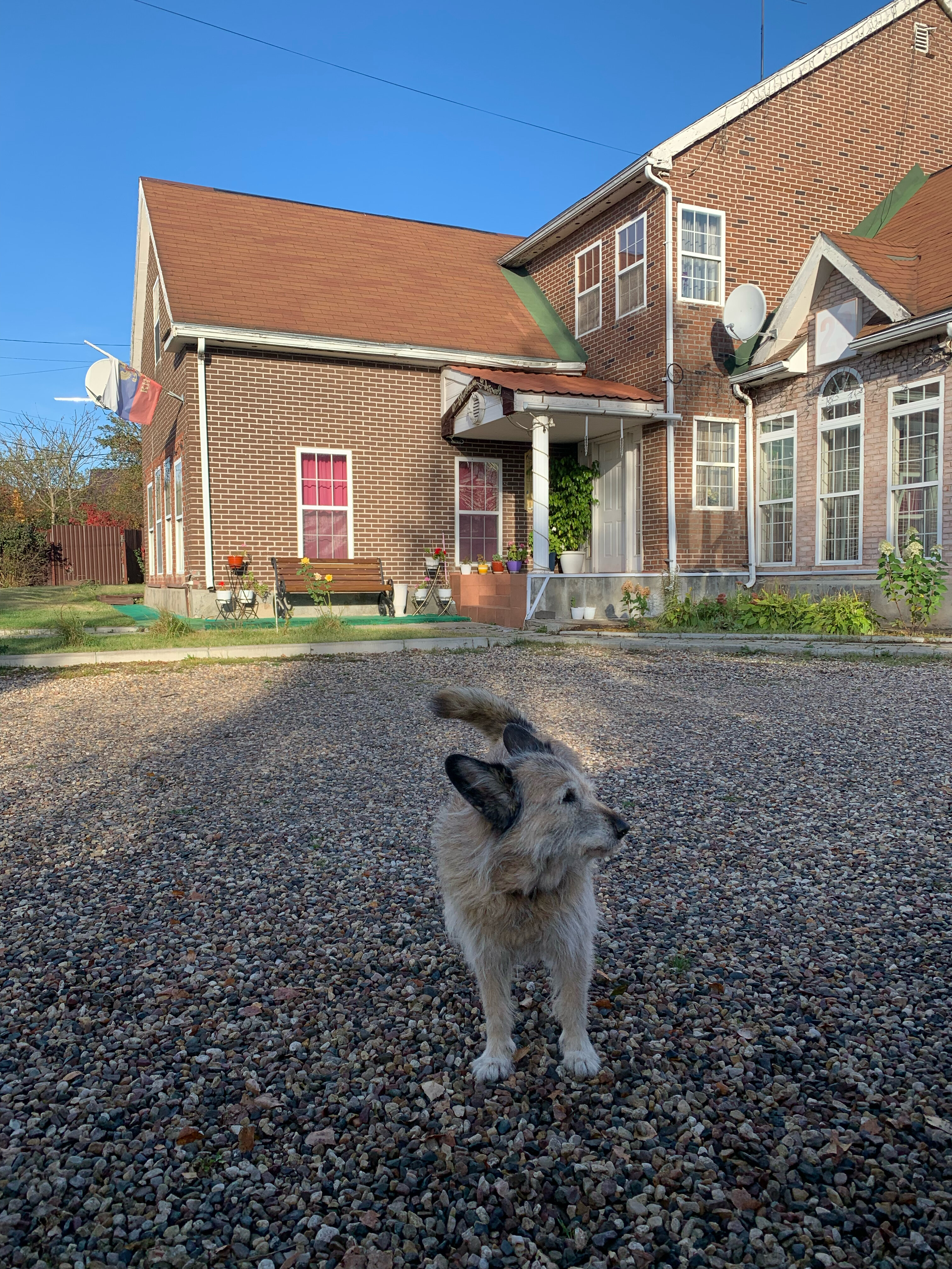 Фото Орхидея