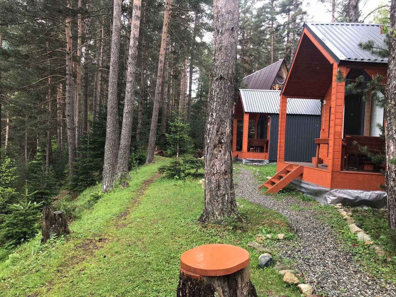 Фото Белый волк