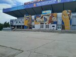 Magnitogorskaya Federatsiya sportivnogo cherlidinga (Lenina Avenue, 97А), sports association