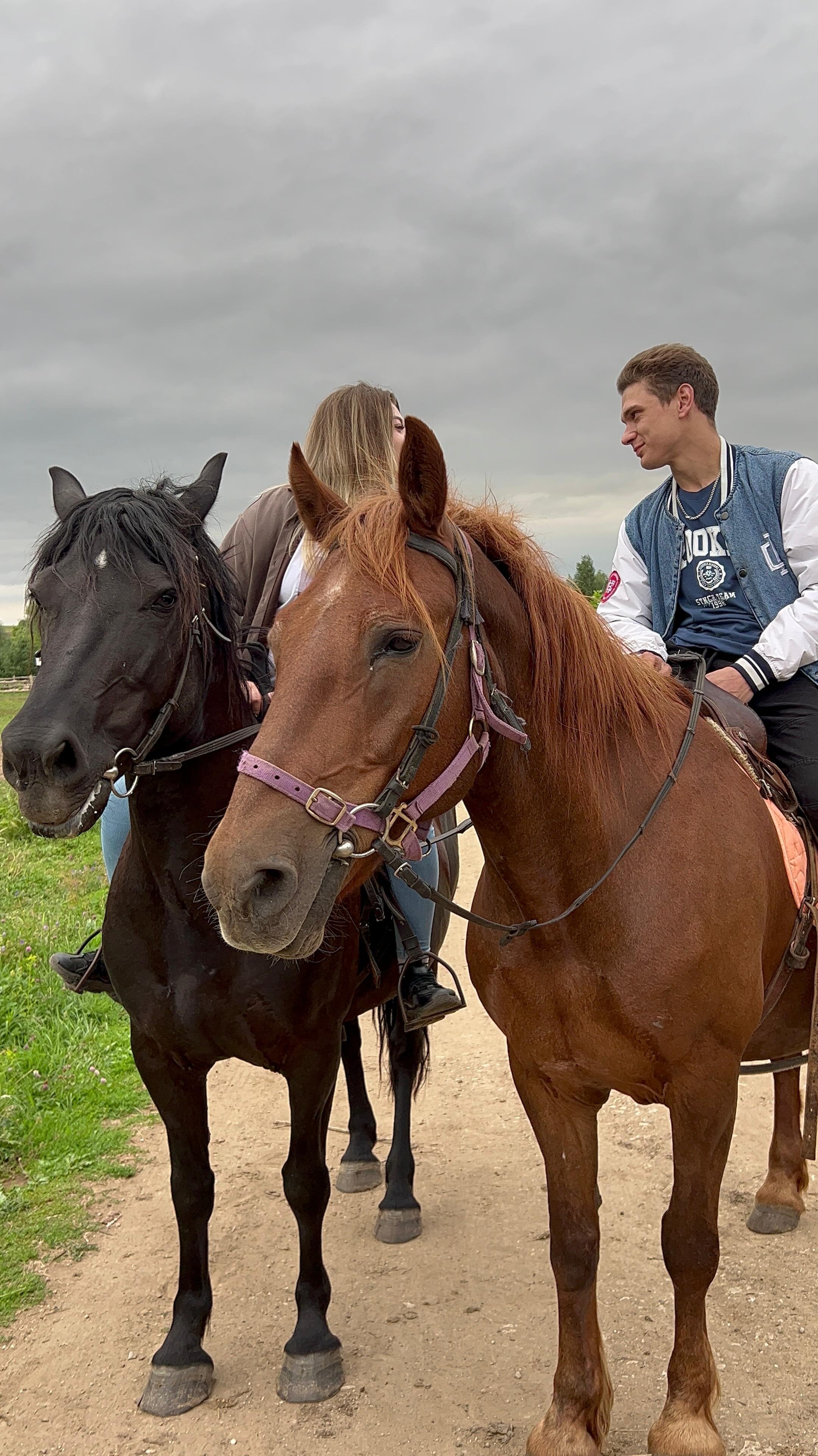 Фото Поместье Конная эстетика