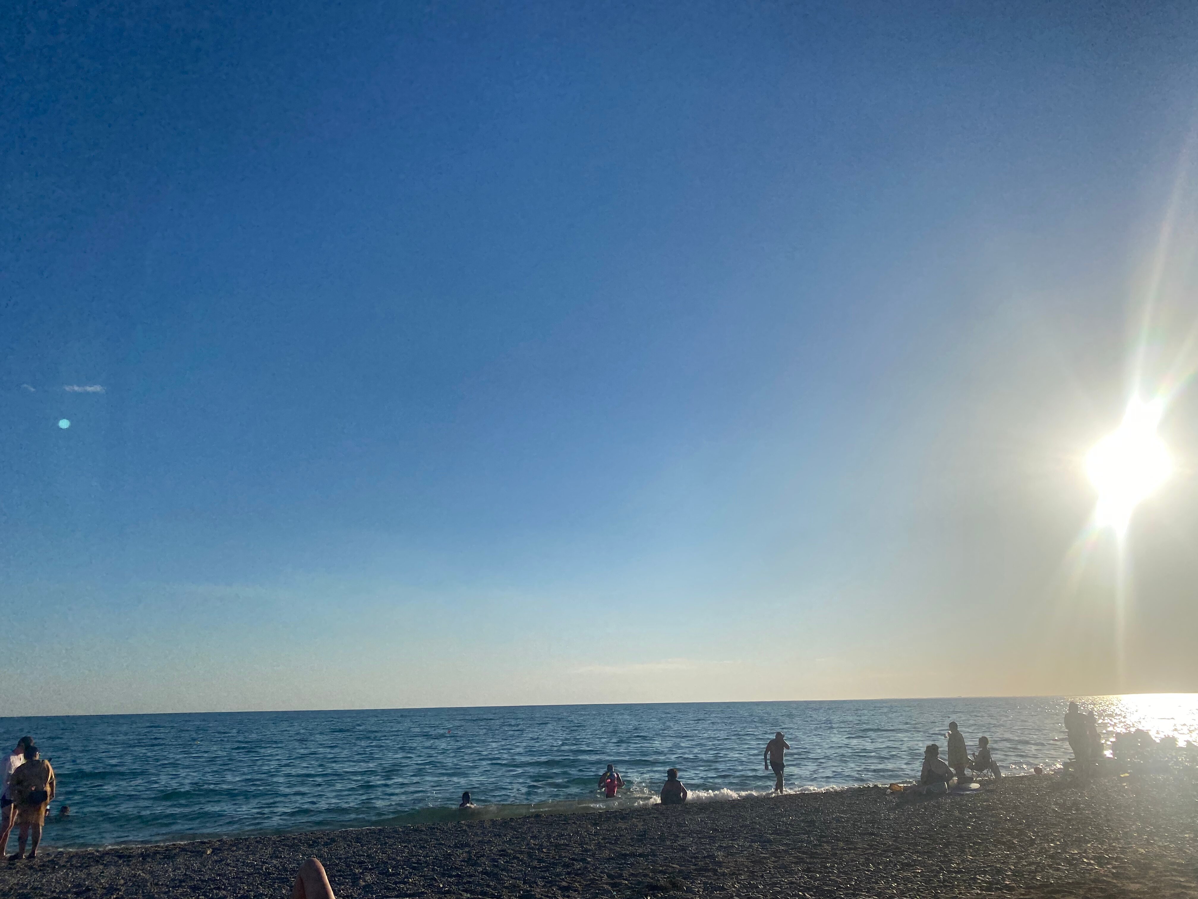 Фото Кальмар