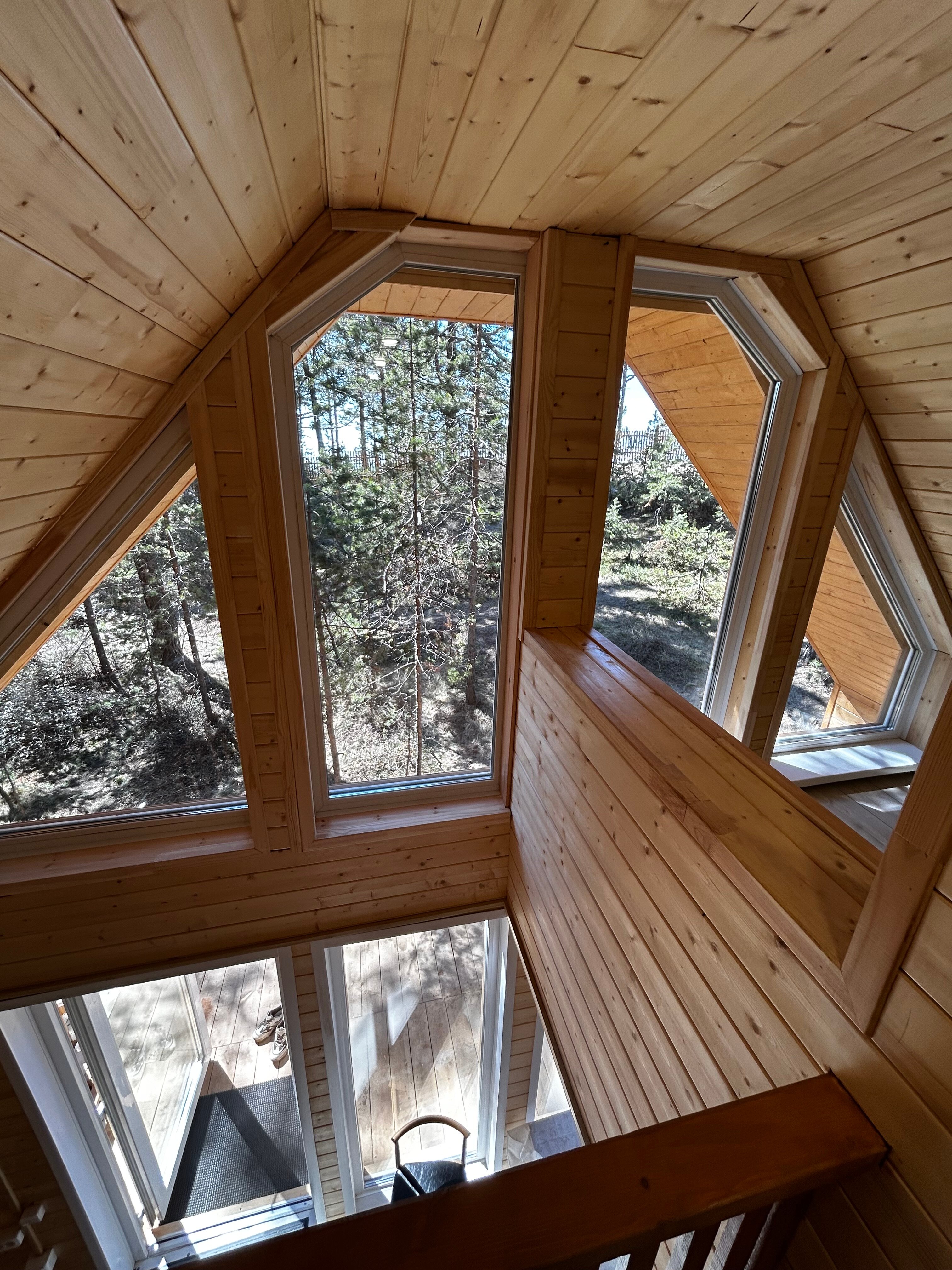 Фото Багульник