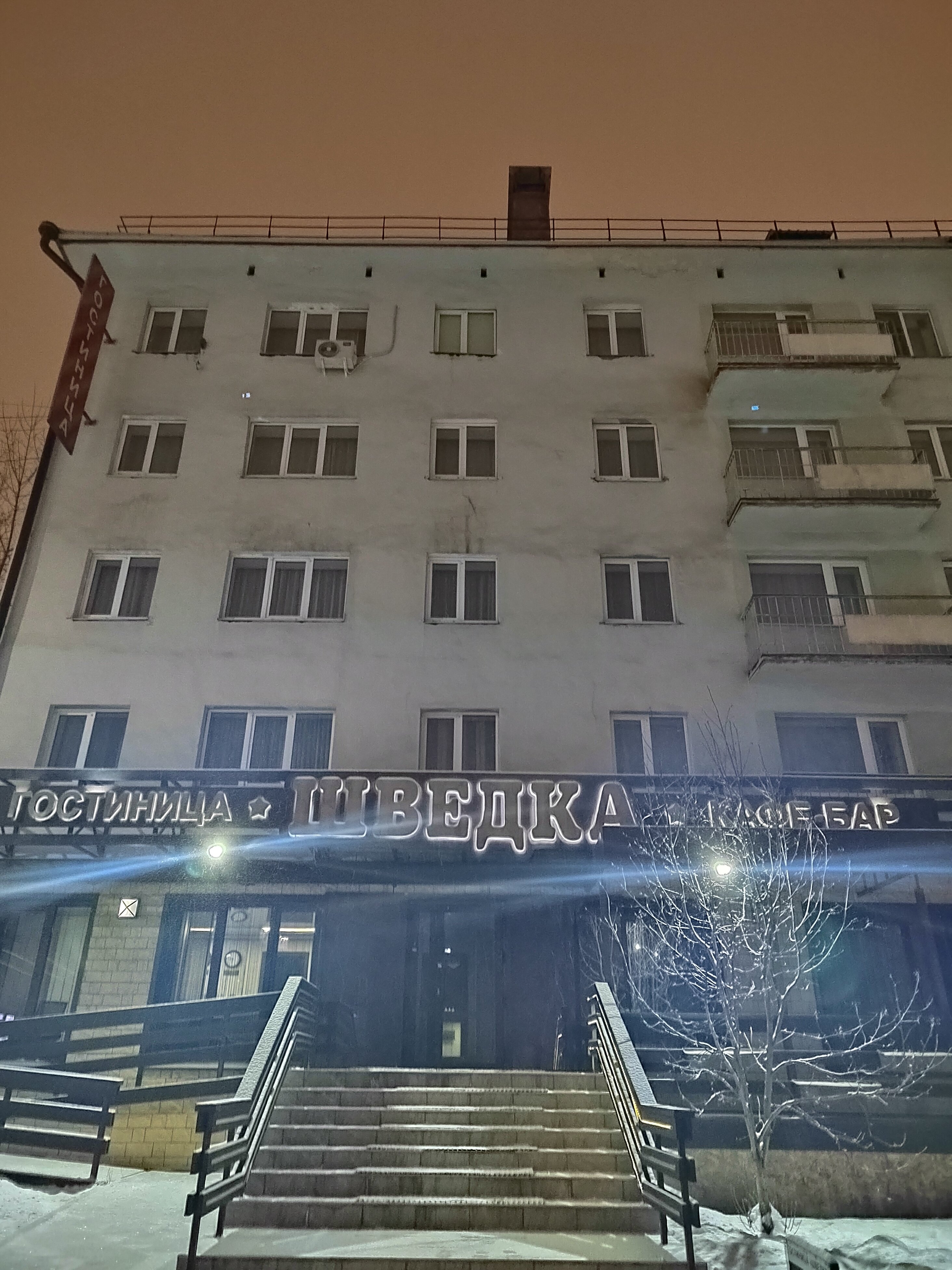 Фото Шведка