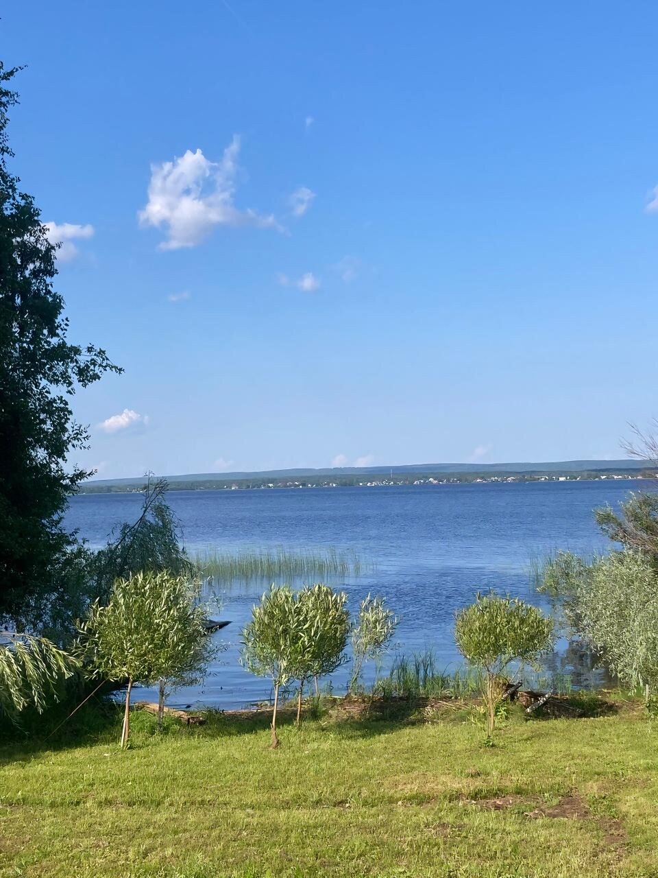 Фото Хвойная Гармония