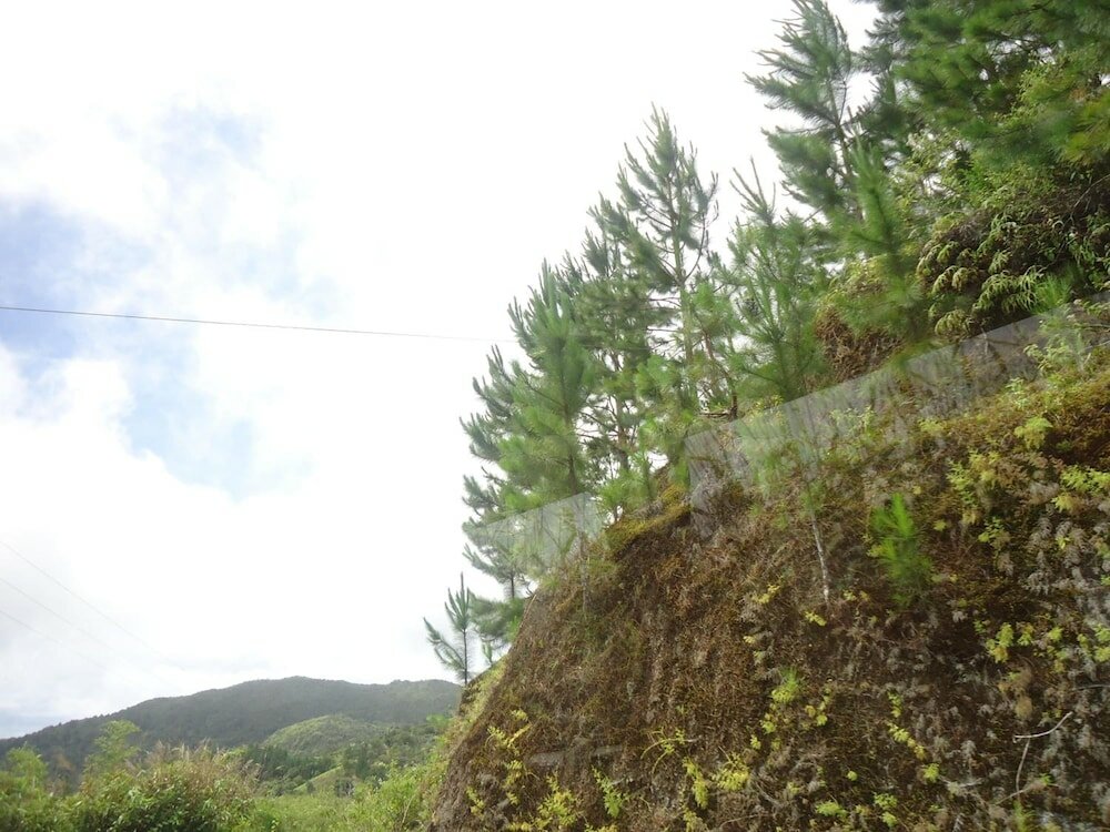 Фото Hotel Krishna